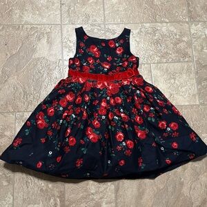 Janie and Jack Falling Rose print Dress 18-24 months